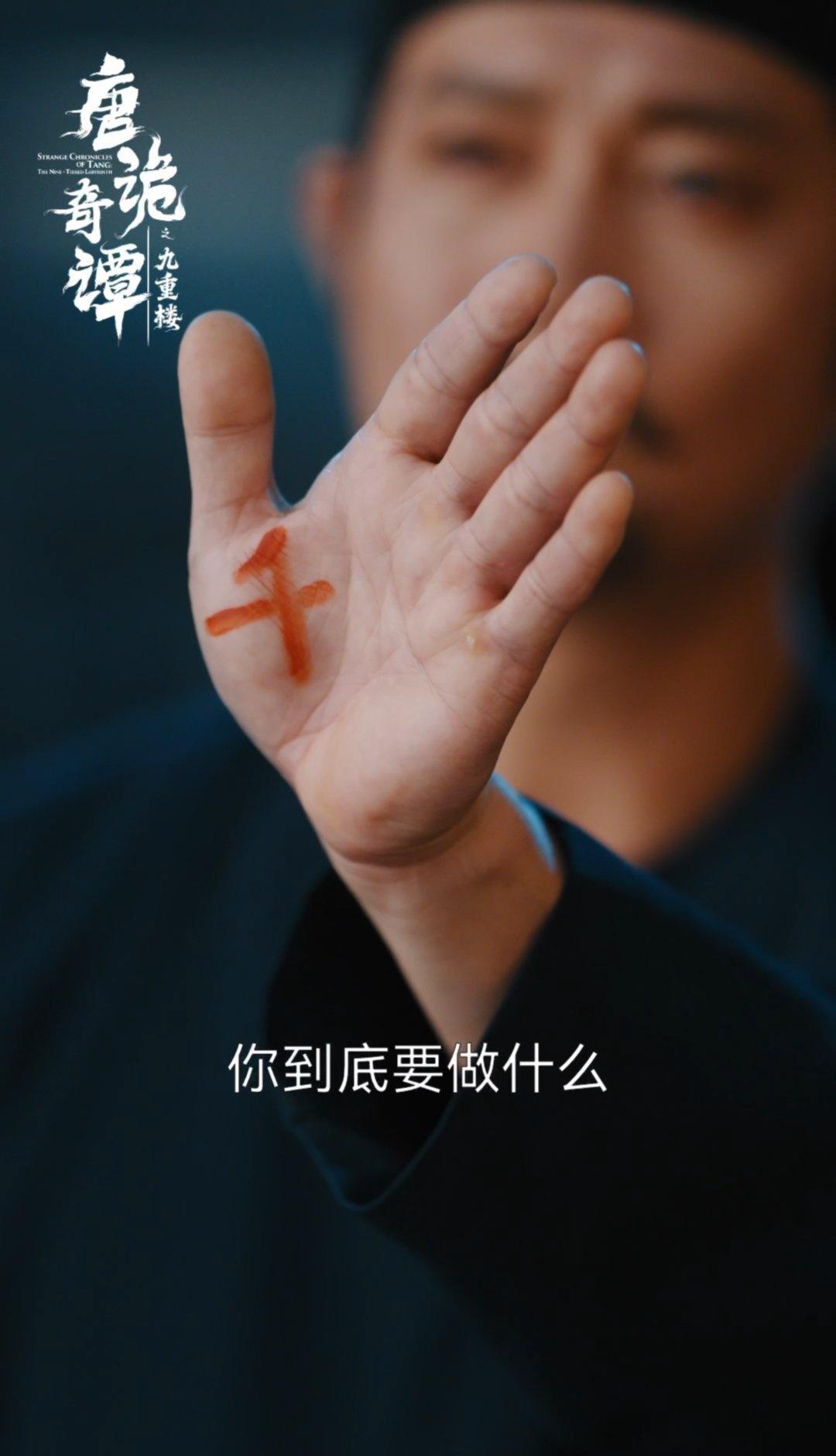 镜面密室的镜鉴谎言，醋缸暗道的步步惊心，九重楼的机关设计巧思满满，中式悬疑的氛围