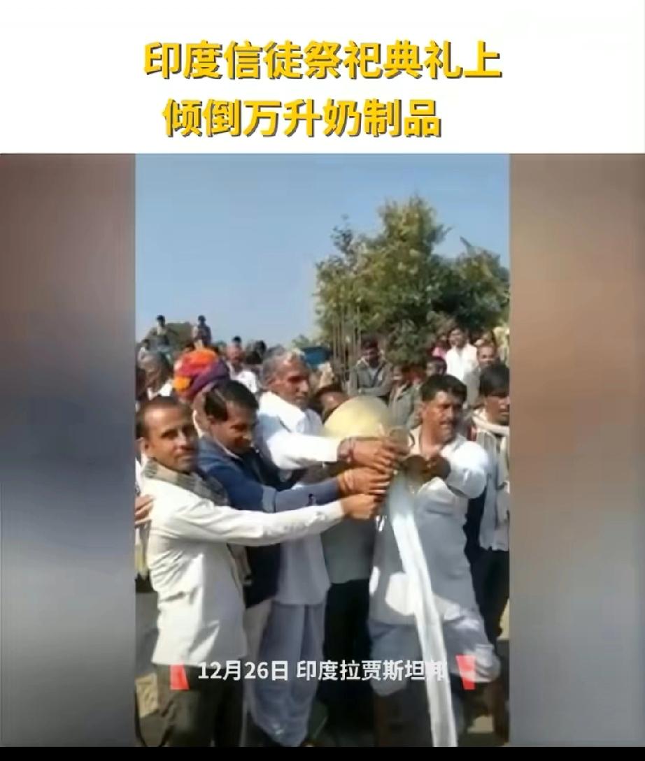 印度男子倒奶入河避开接奶贫困儿童。这是印度教“牛奶祭祀”，和我们这边放生矿泉水、