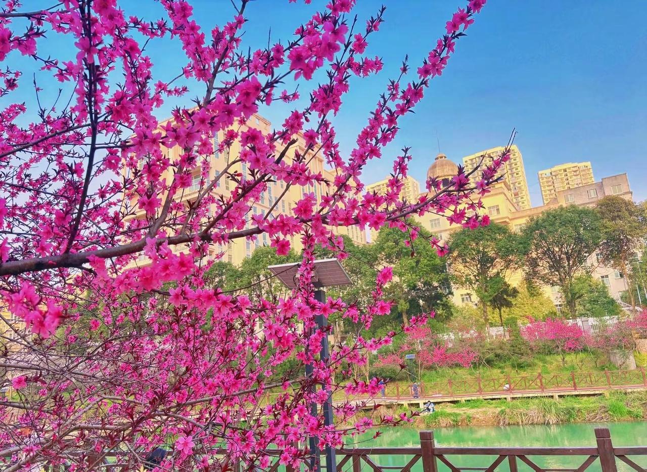 城市记忆 宜居社区 美好居住地 生态绿道 城市风光