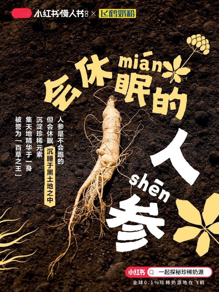 农作物海报版式设计  |  审美积累遇见艺术