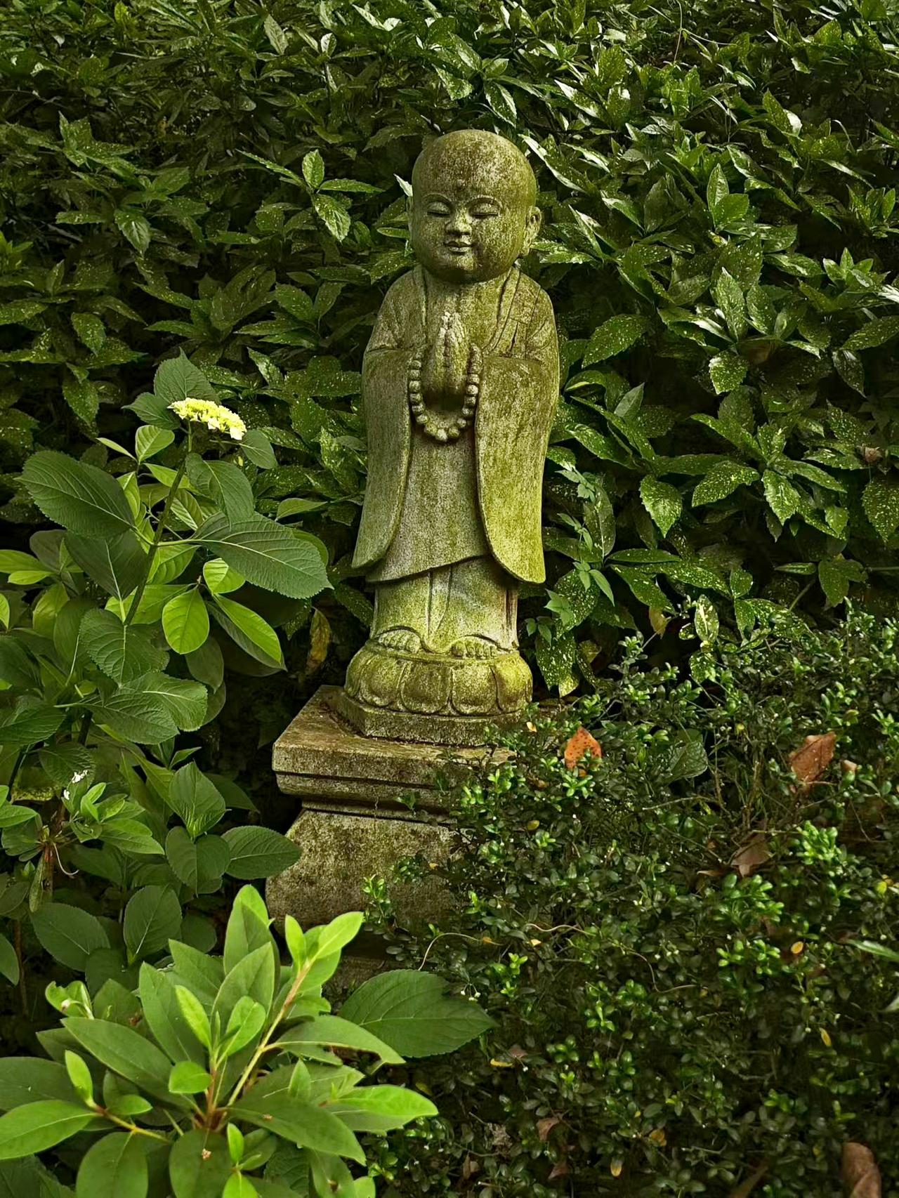 《清平乐·禅林小像》
 
苔衣凝翠，深护禅心细。
合掌珠垂香篆里，似有清光盈袂。