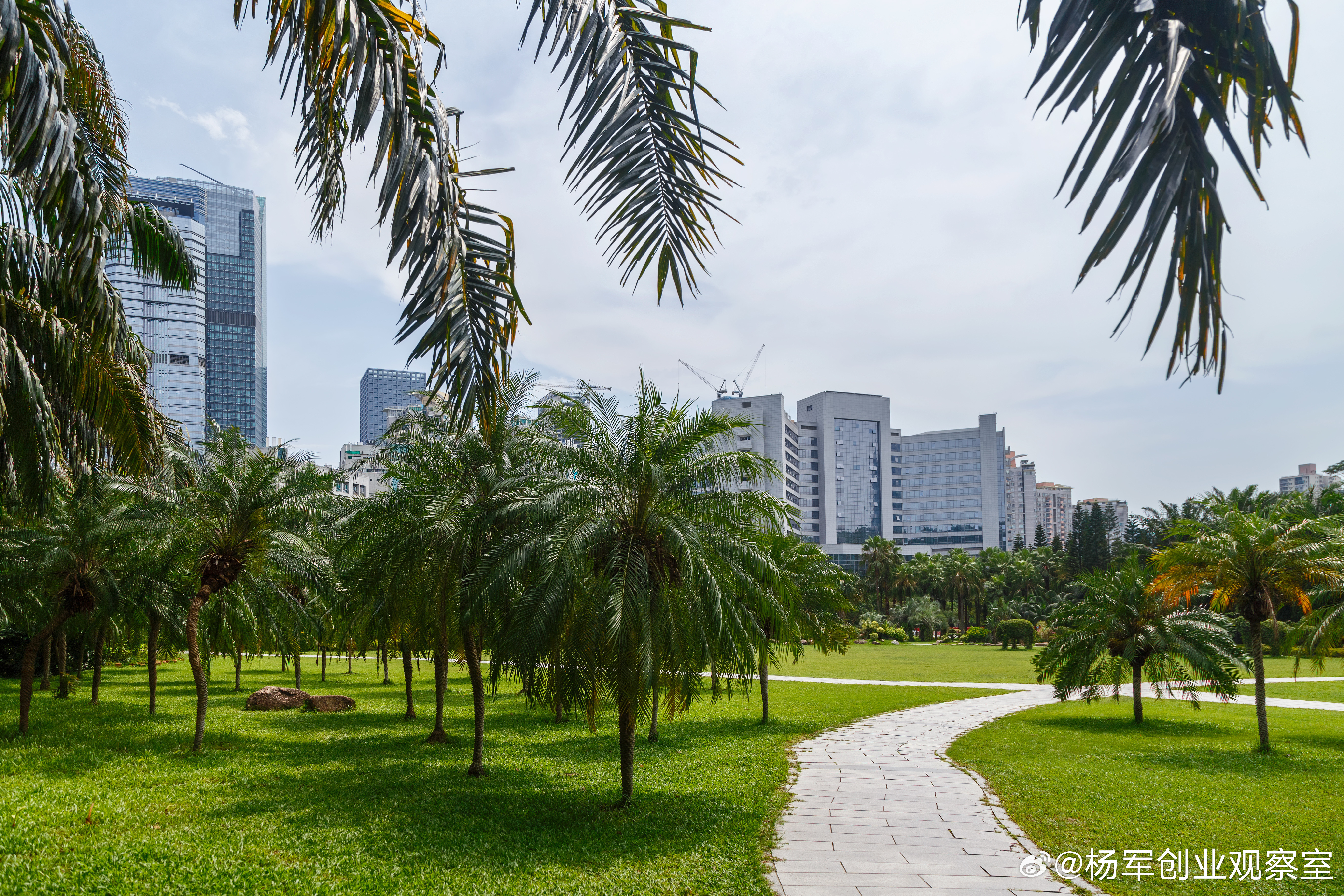 没有书面合伙合同，法律怎样认定合伙关系呢？不参与经营的投资人，也可能被认定为合伙