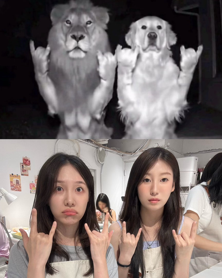 恋爱兄妹 世承📕更新：到底哪一只才是真的呀🐾 
