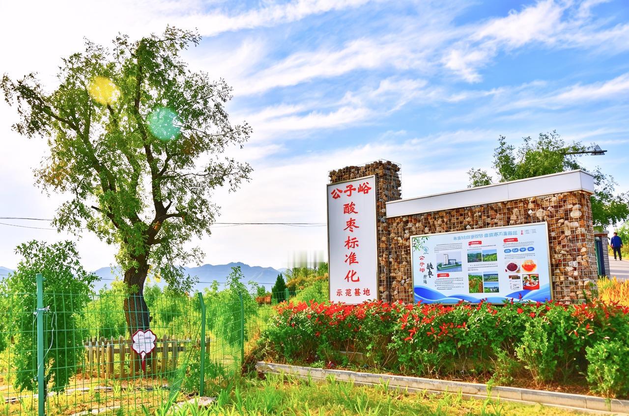 打卡观摩公子峪｜公子峪，往昔扁鹊师徒采药之地，今朝道地邢枣仁崛起大产业！
 
邢