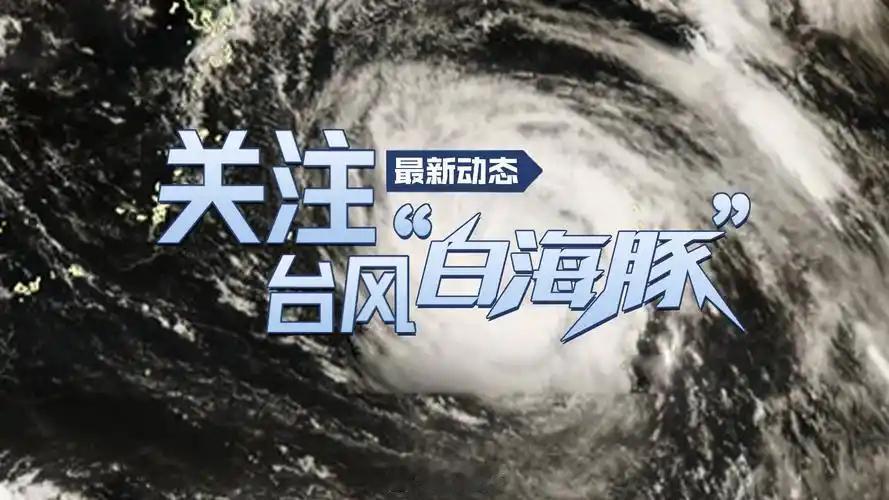 聊聊白海豚台风的寿命
       白海豚台风的寿命颇具趣味。通常，台风寿命受诸