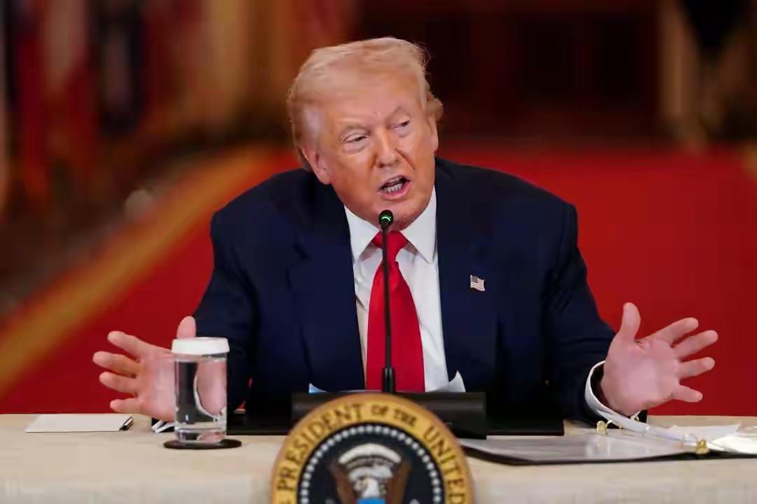 大毛:鹰酱 你要笑死我吗
鹰酱:你啥意思啊
大毛:你居然说波斯猫是纸老虎  我记