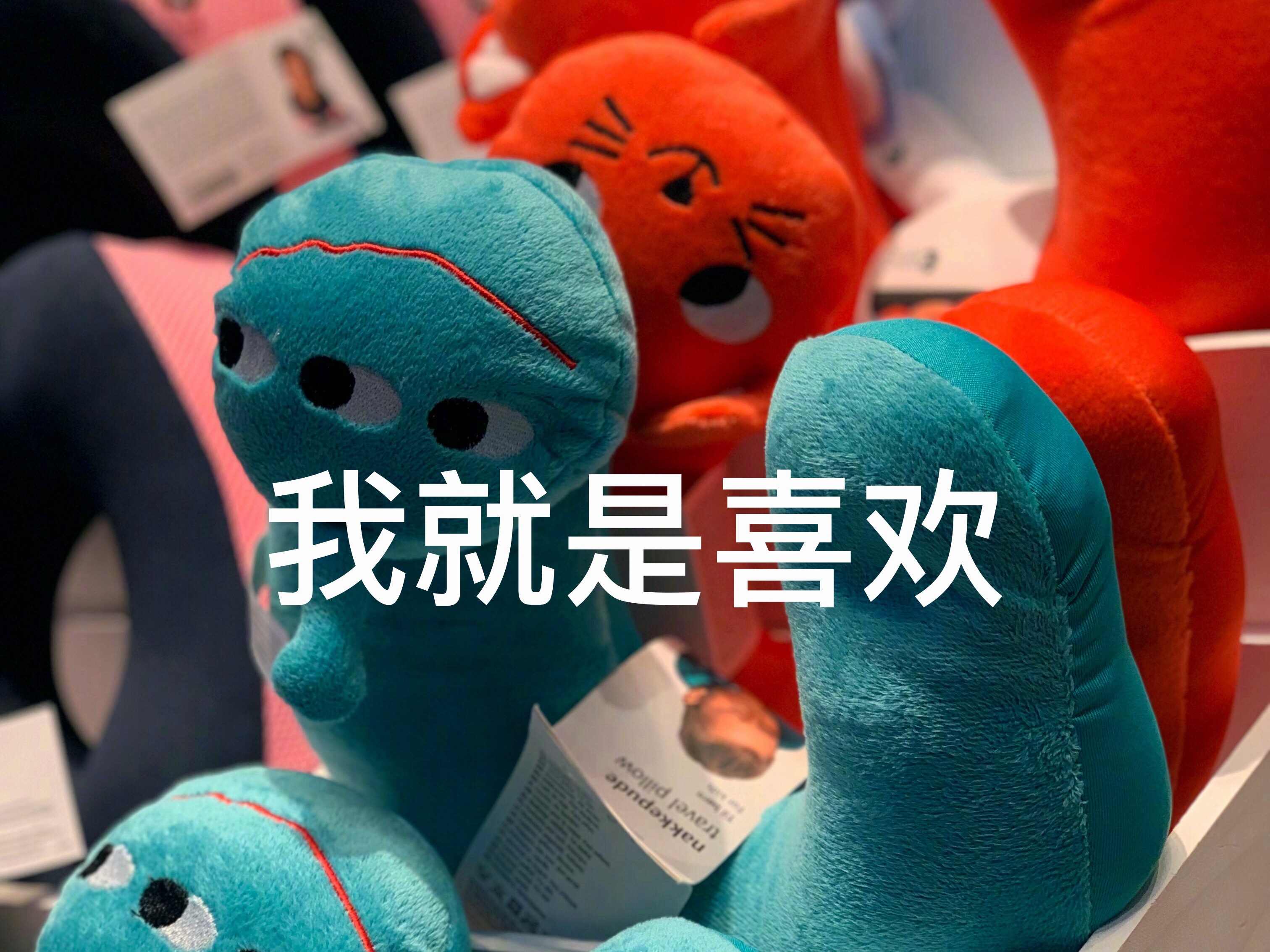 今天去看别人吵架合伙生意散伙，双方都没赚到钱，我在一边吃瓜 