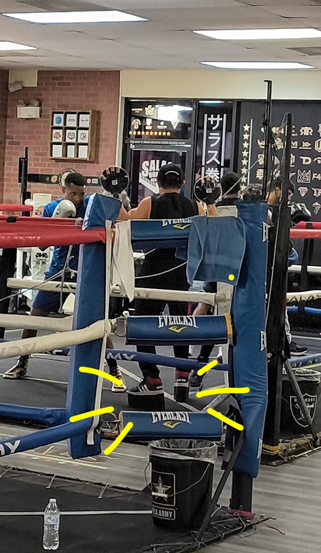 我的瓷好久不见