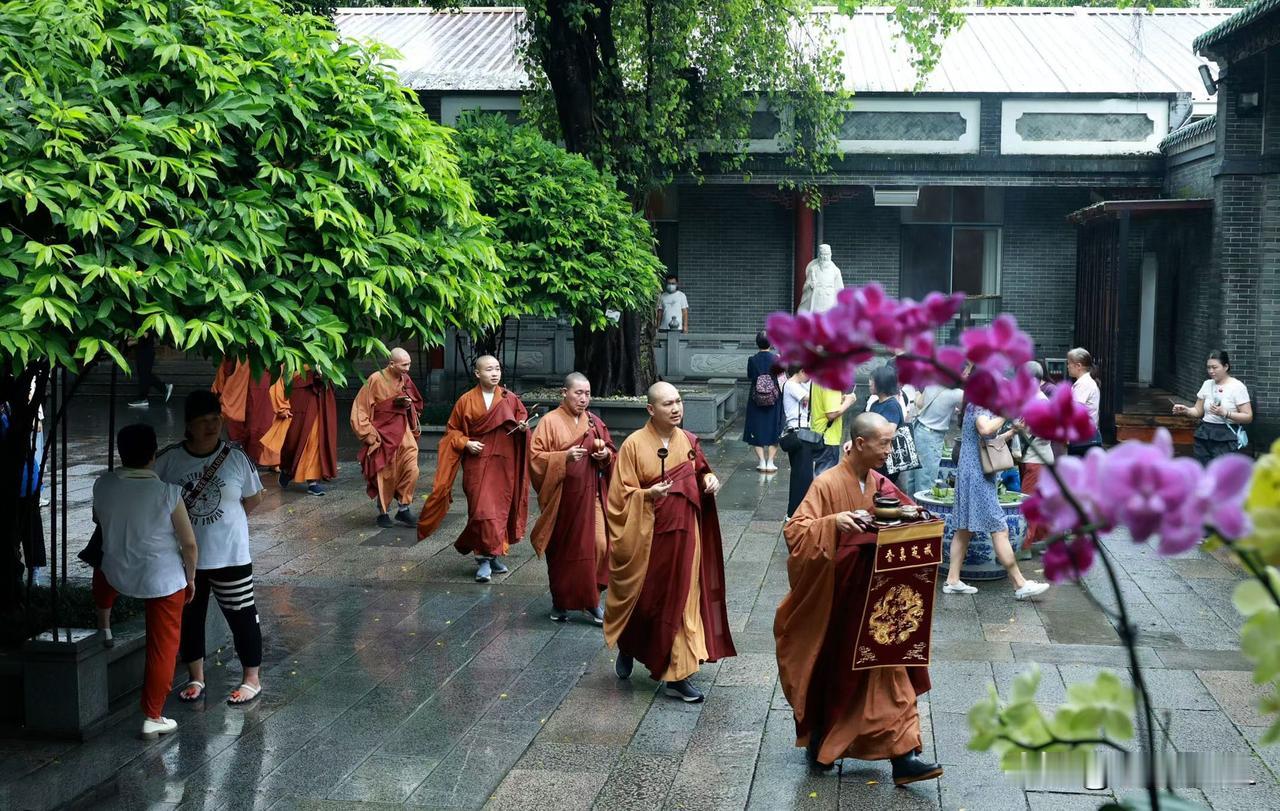 六榕寺见证放生，端午节祝大家幸福安康！
夏日美景随拍
6月16日，在广州六榕寺 