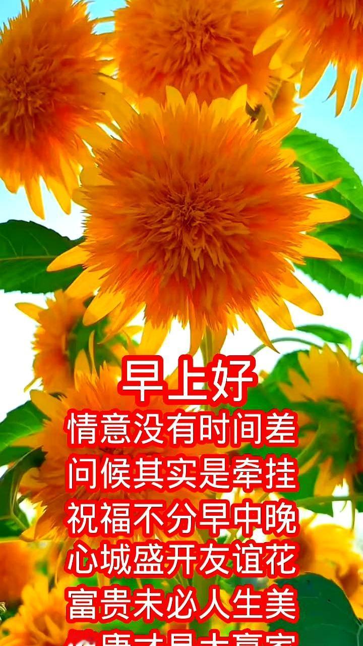 别总盯着存折上的数字，多看看自己的体检报告。
有人说得实在，年轻时拼命熬夜加班