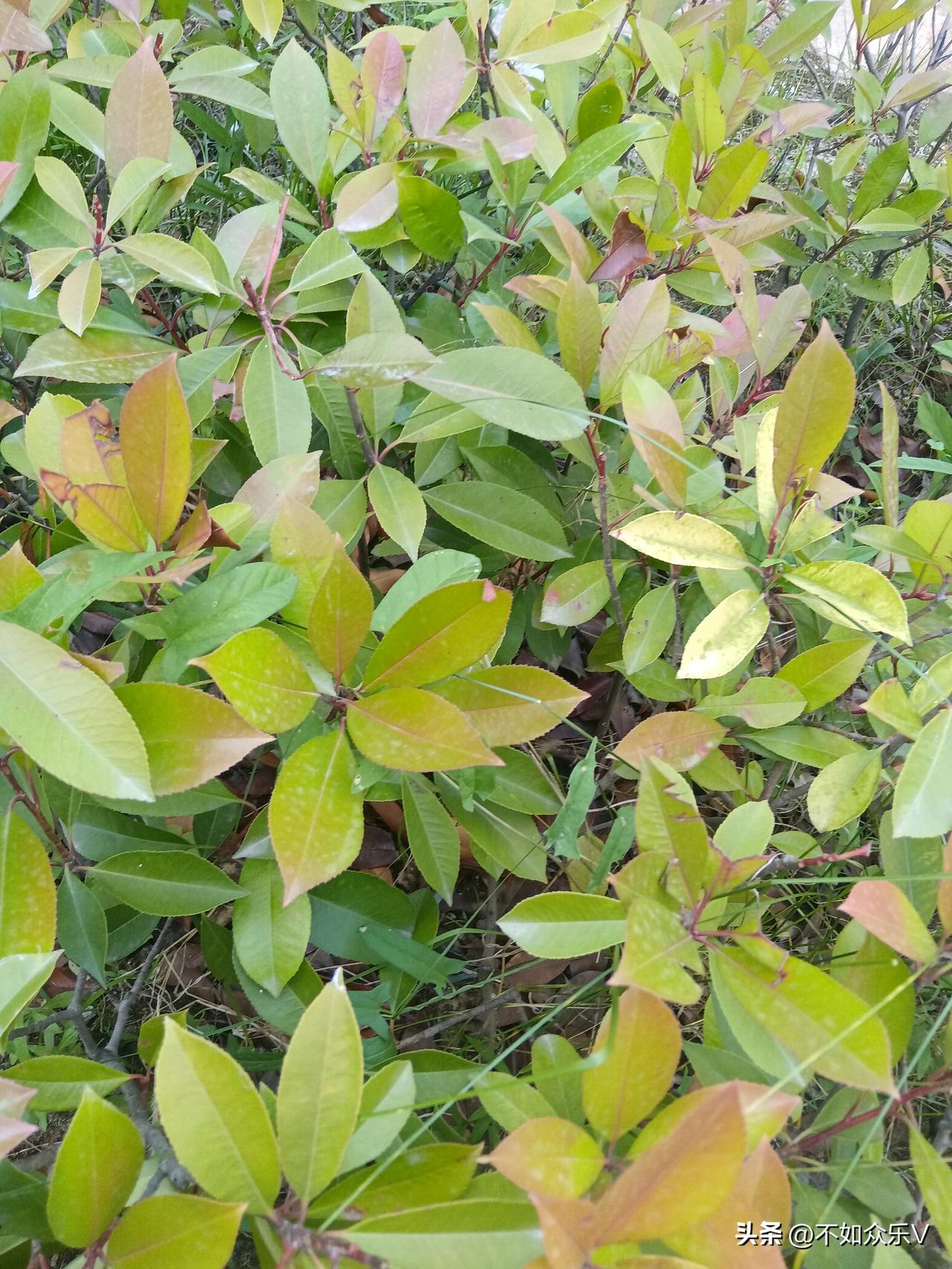 越亏越淡定！

之前每天亏几十块，一二百块，都心疼的不行！觉得都是自己的血汗钱啊
