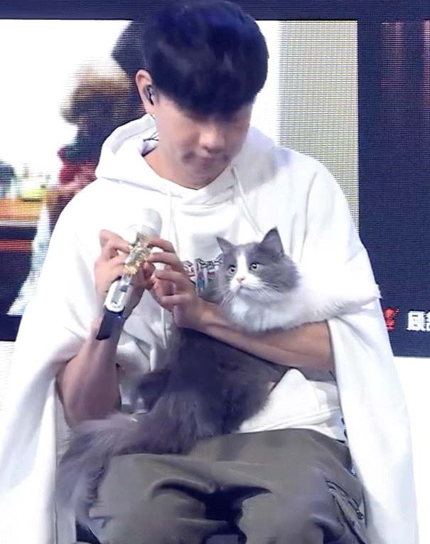 林俊杰萌男和小猫咪，真的可爱到晕倒吧   