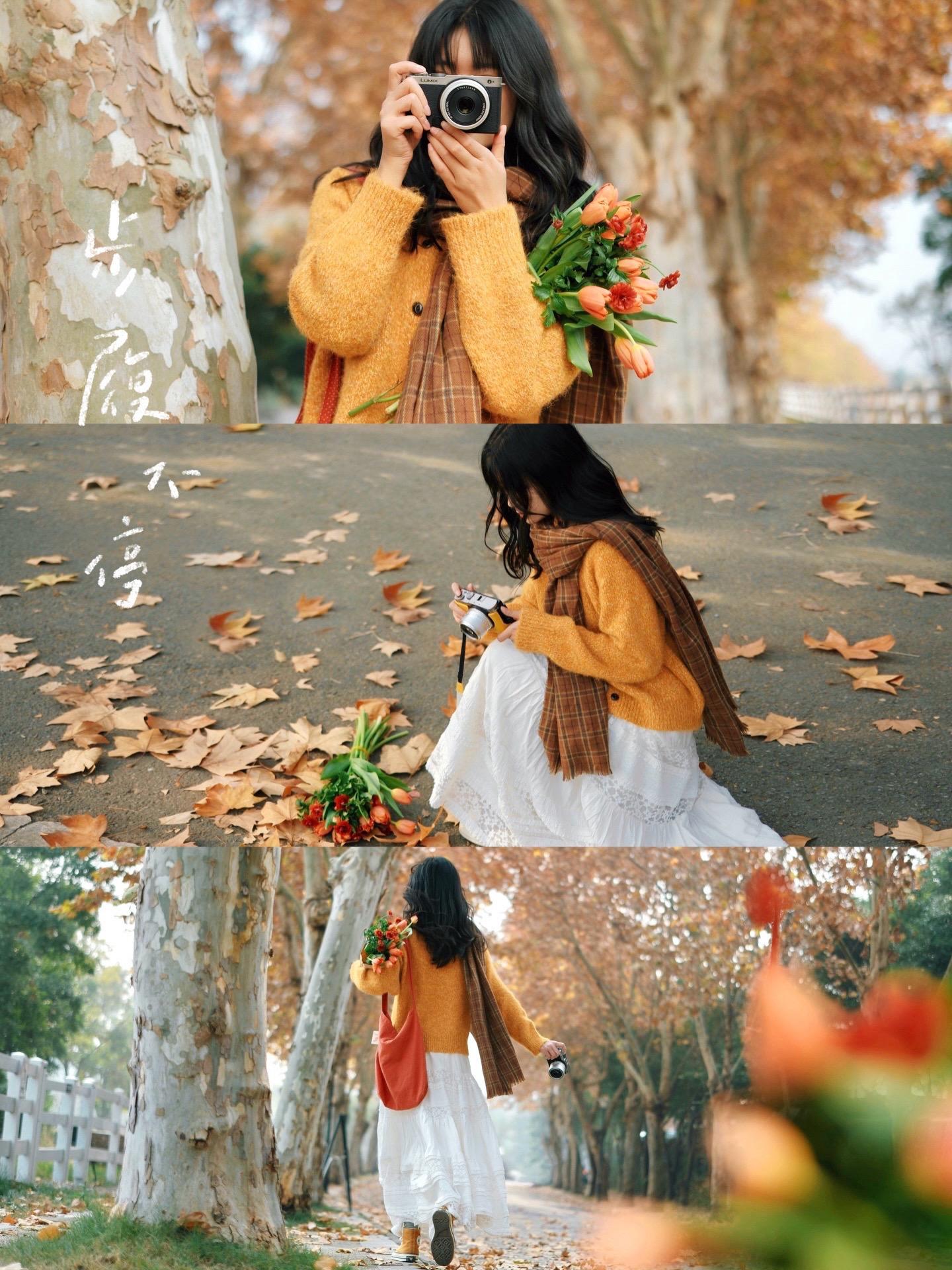 走在秋冬季的梧桐大道。拍出秋日文艺电影感