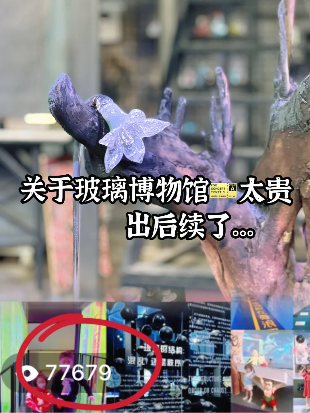 全网10w+看过‼️玻璃博物馆降至💰50人均