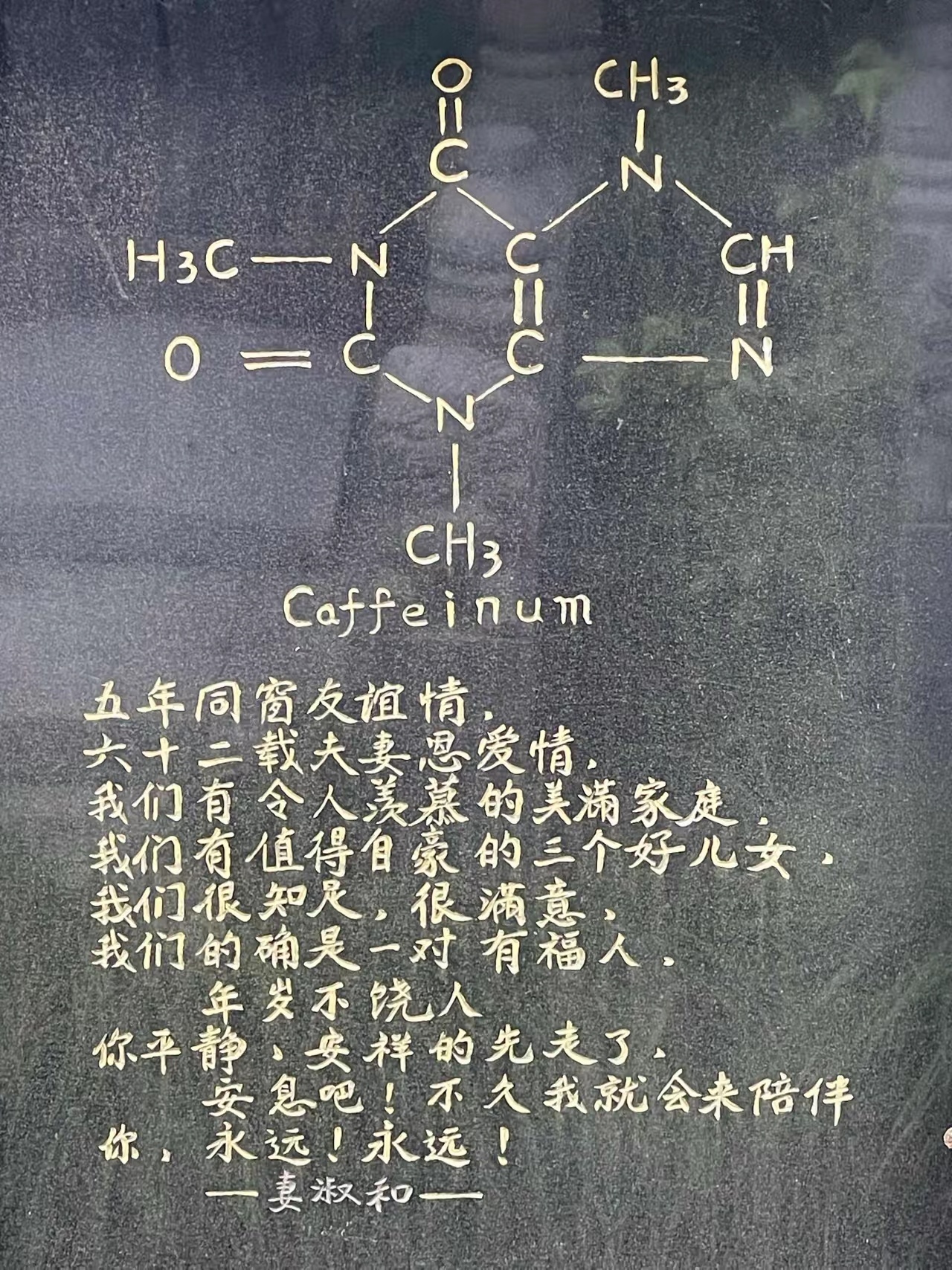 刷到杭州一块公墓墓志铭，是一位妻子写给先走的老伴：同学五年成知己，结婚相伴六十二