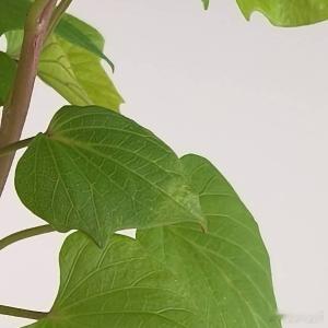 每日一善[超话]‍每日一善 自己的命运从来都是掌握在自己的手中，好生活在于进取，