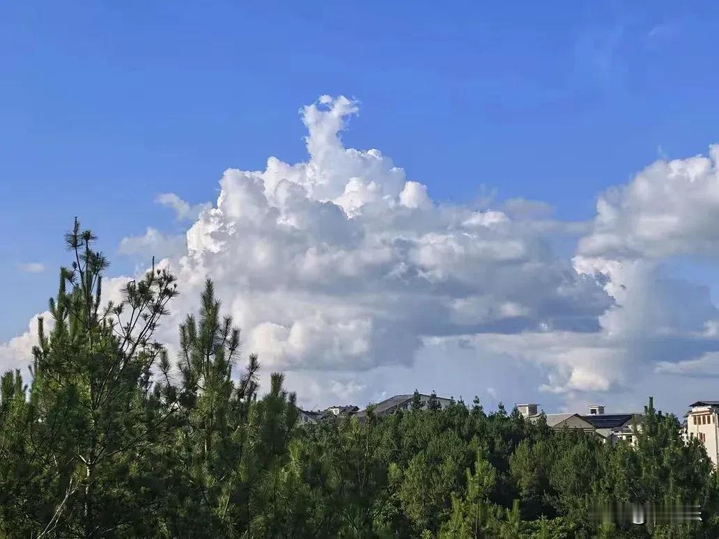 分享两张在黄水随手拍到的天空。第一张是午后，天空一片澄澈的蓝，一朵巨大的白云堆叠