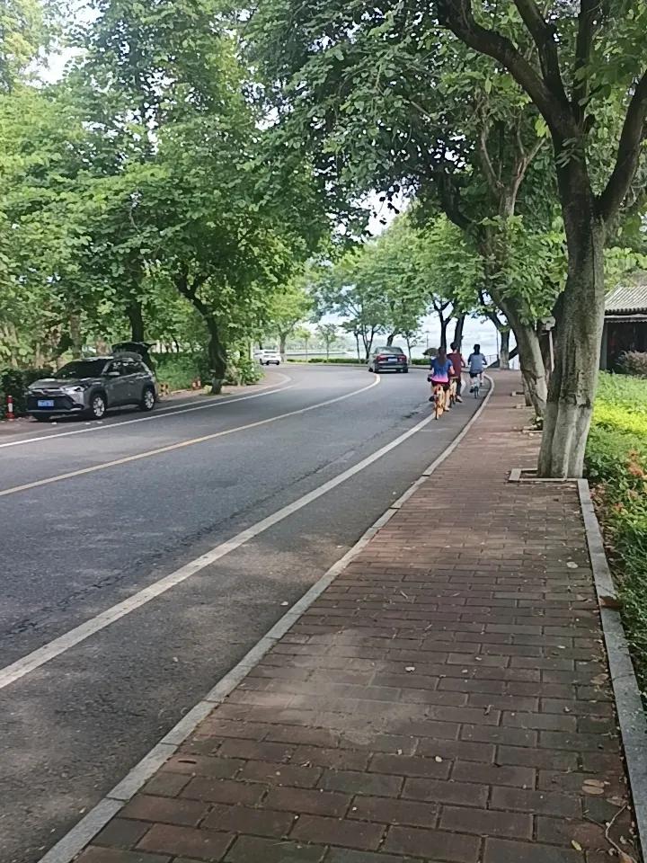 你敢相信吗？这里就是肇庆的紫金西提
现在紫荆花已经凋零了，但是来年的春天又会开放