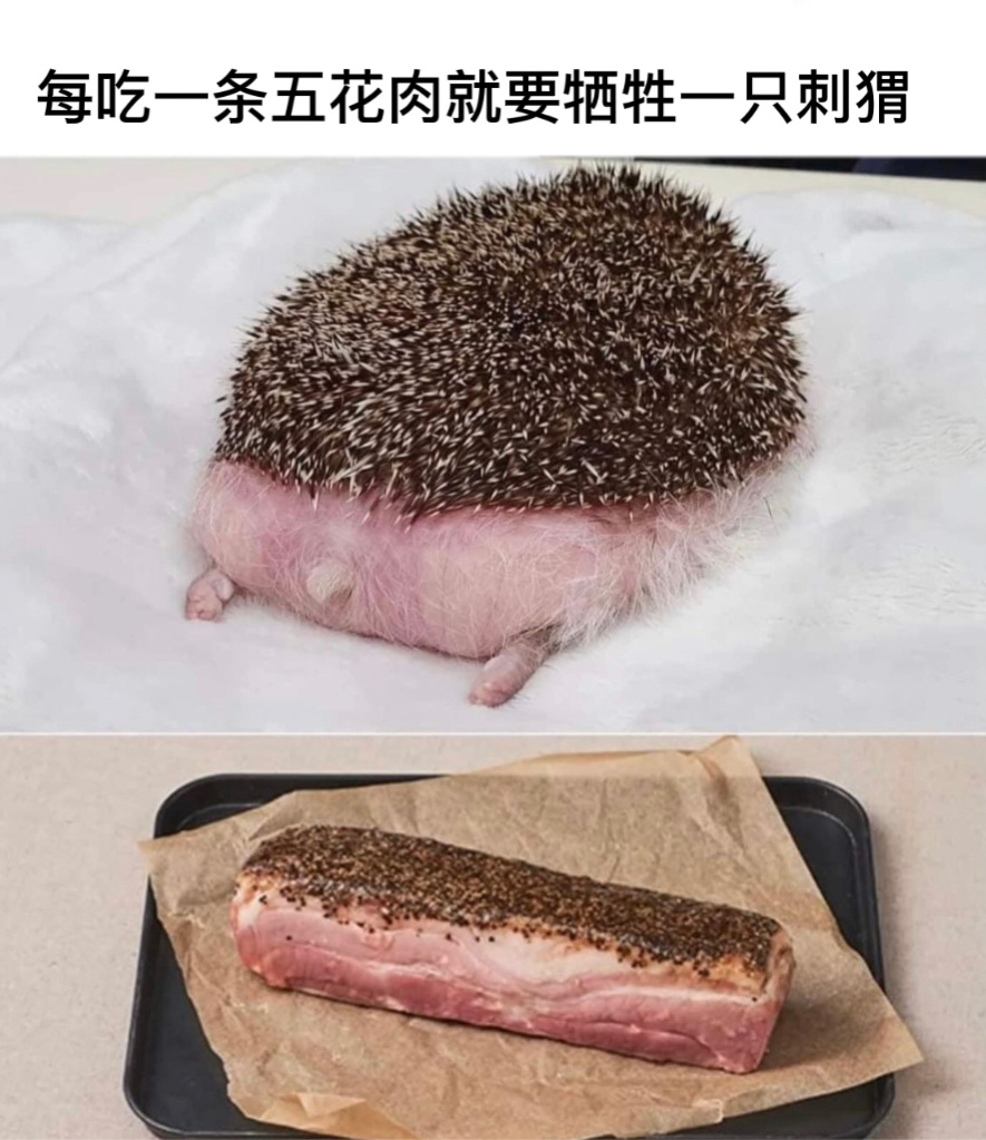 🙏🏿看饿了#今日memes# //#龙年造梗大赛# ​​​