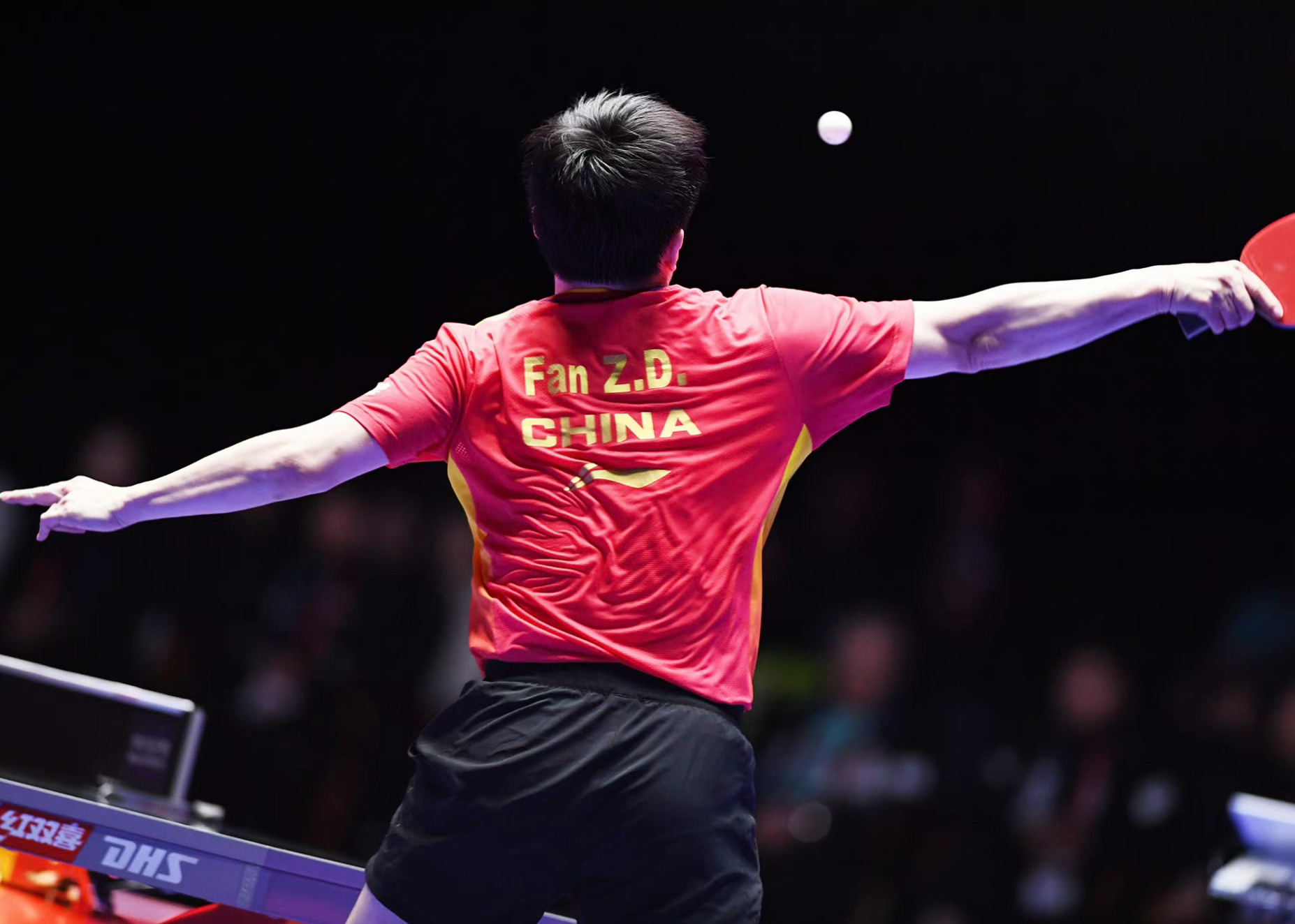 这位是釜山战神樊振东！！！ 