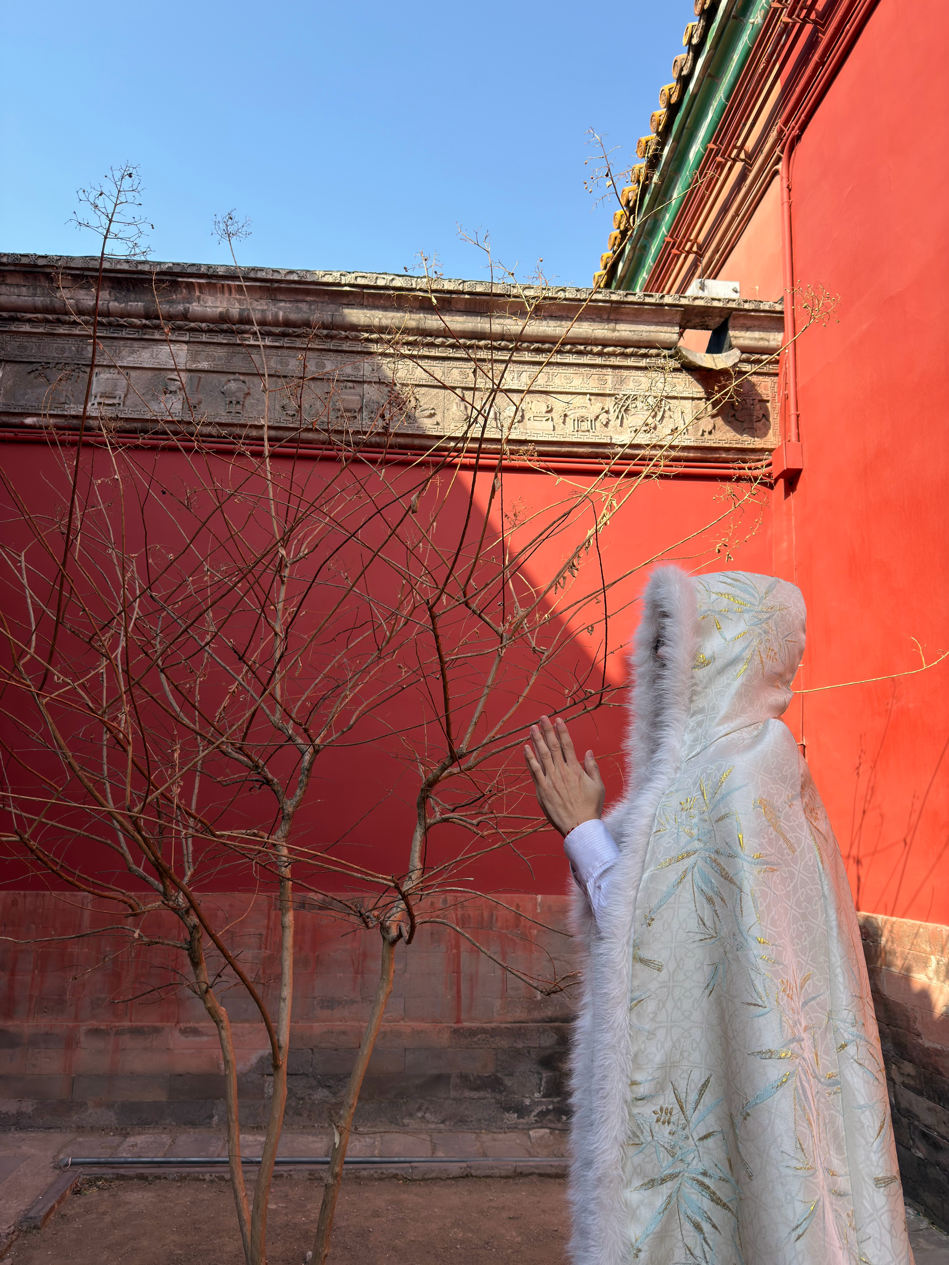 白玉兰影后是孙俪。 北京·故宫博物院-御花园