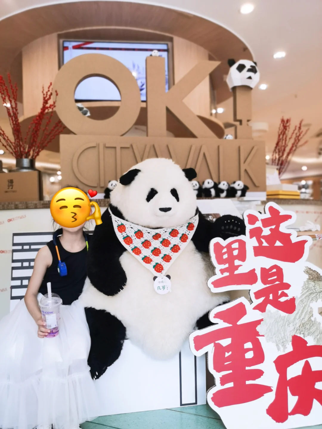 在重庆解放碑可以熊猫花花局长平起平坐