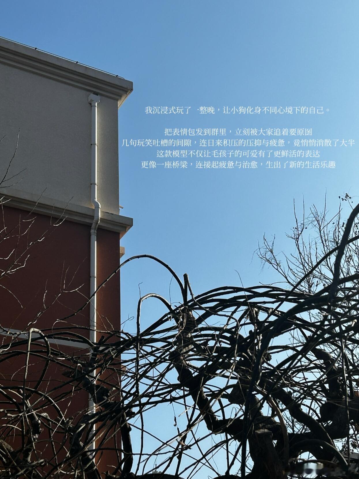 可以疲惫，不要黯淡。工作日程将日子切割成重复的碎片，键盘敲击声替代了风声、鸟鸣，