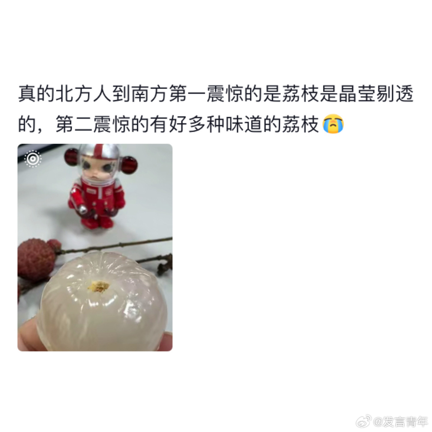原来北方人平时吃的都是死荔枝