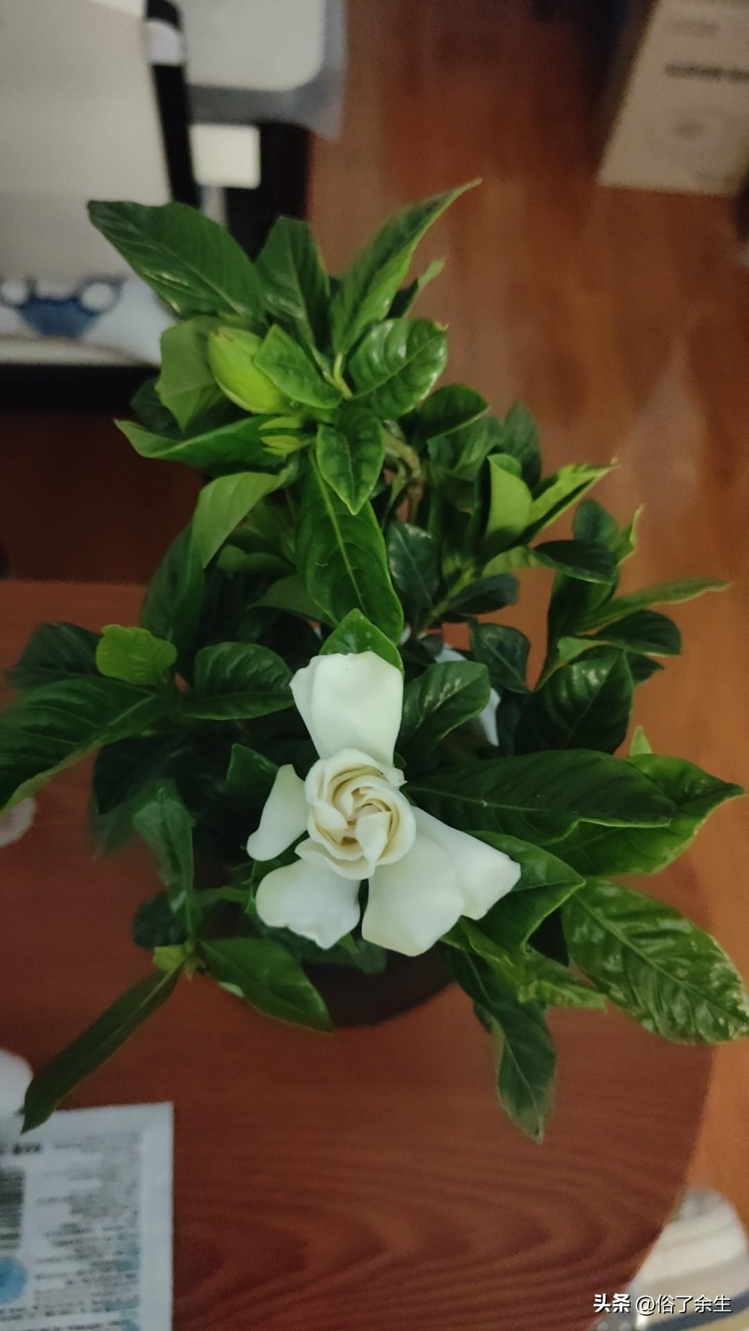 晒图笔记大赛事业腾飞