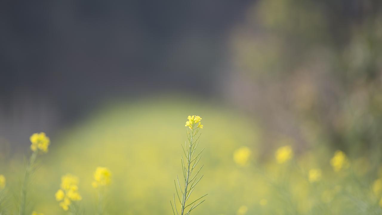 任何规律都不能完全解释人的一切。不然就无法解释那些舍身忘死的英雄人物。
    