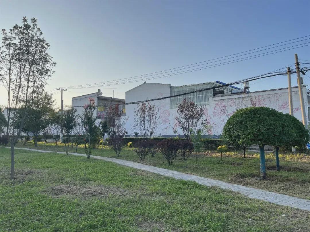 杨凌黎陈村：“文明密码”焕新乡村“颜值”