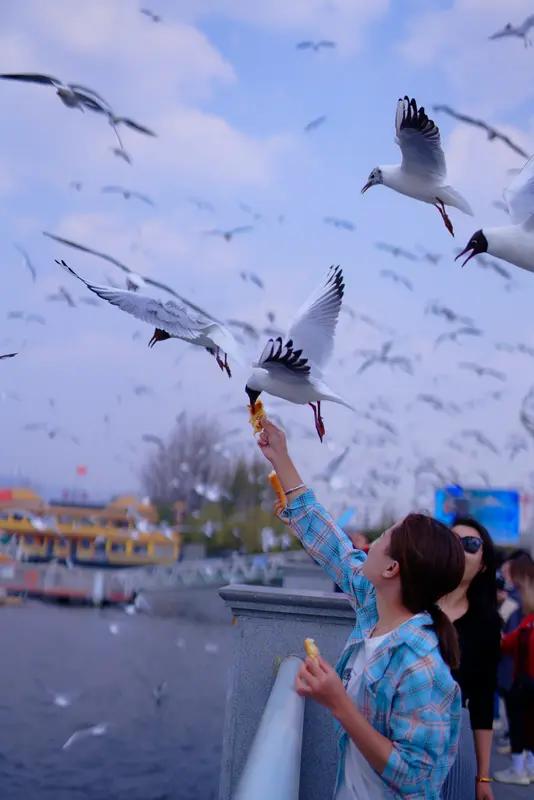 出发吧趁现在，去昆明开启一场难忘之旅！昆明这座城市有太多值得探索的地方。

白天