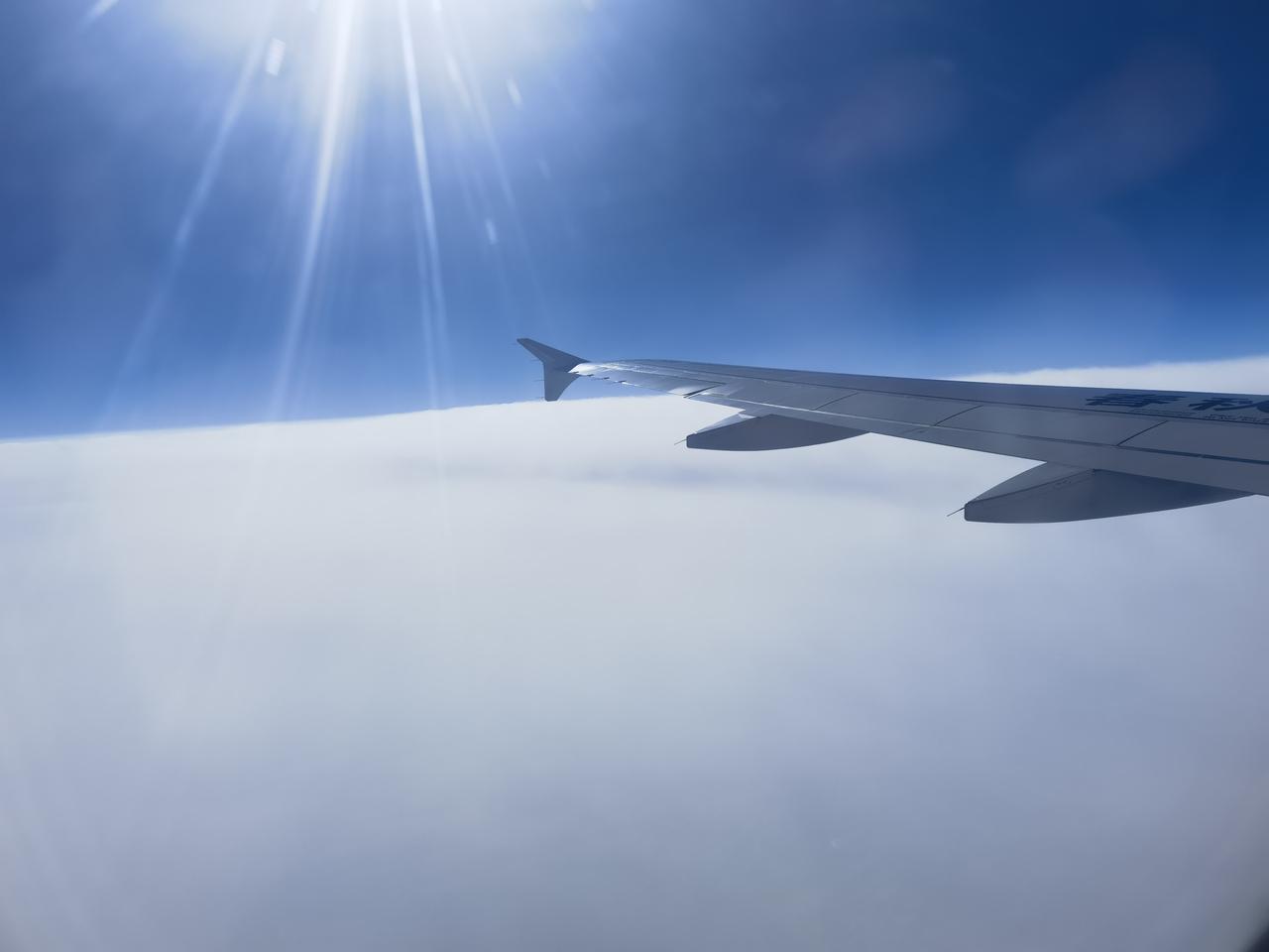 NBA预测继续

上一场灰熊打步行者，大分方向没问题，第一节和第四节打的太差了，