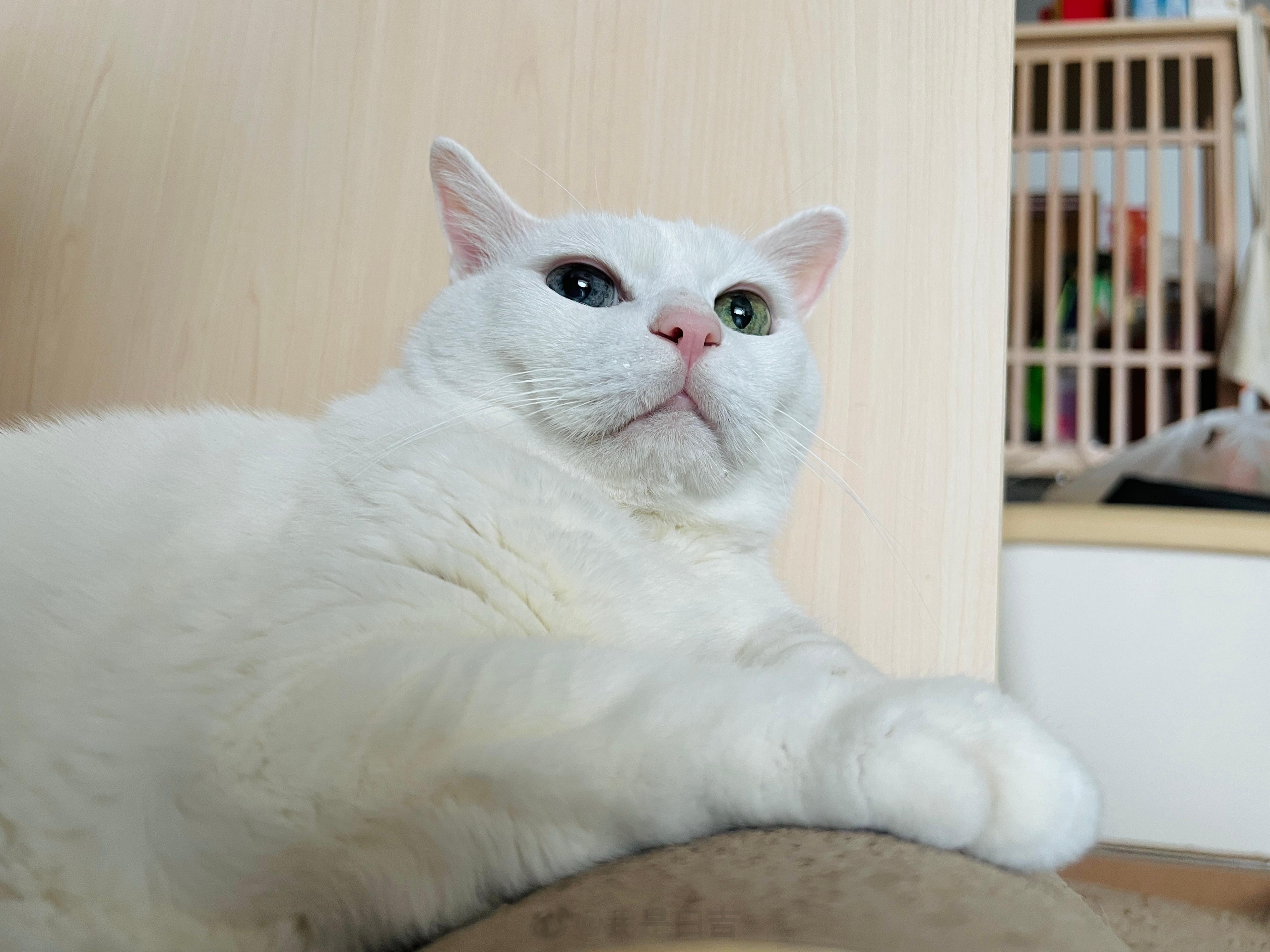 喝水水不擦嘴嘴。 ​​​