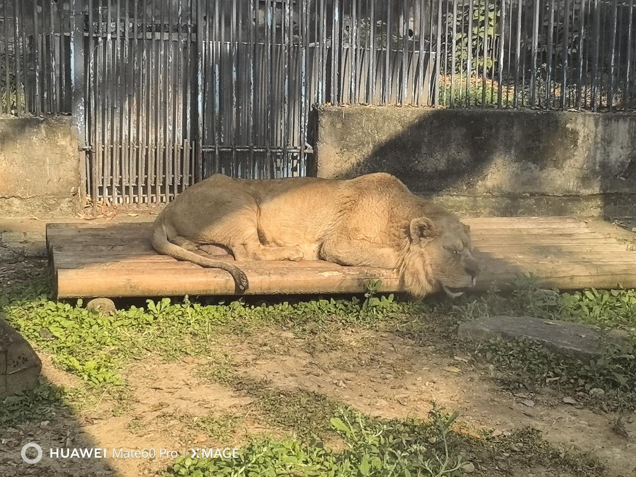 晒图笔记大赛儿童公园上新啦