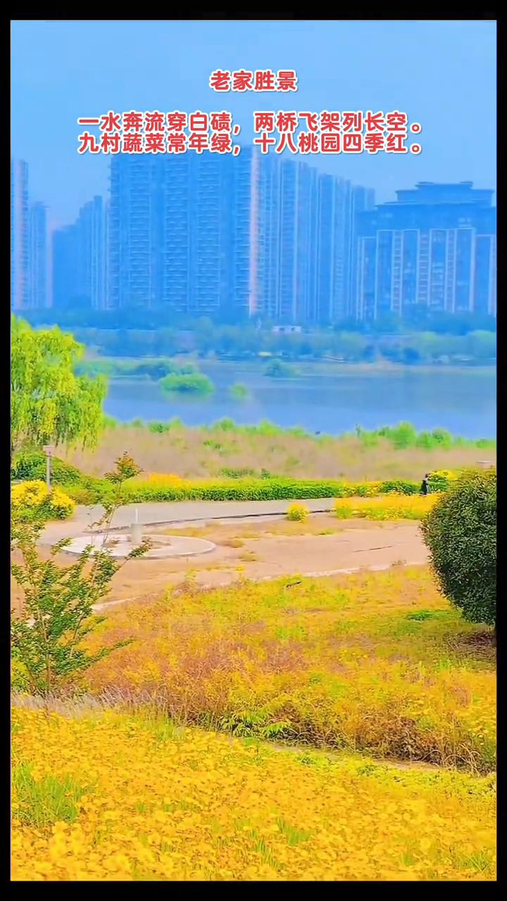 老家胜景。
一水奔流穿白碛，两桥飞架列长空。九村蔬菜常年绿，十八桃园四季红。