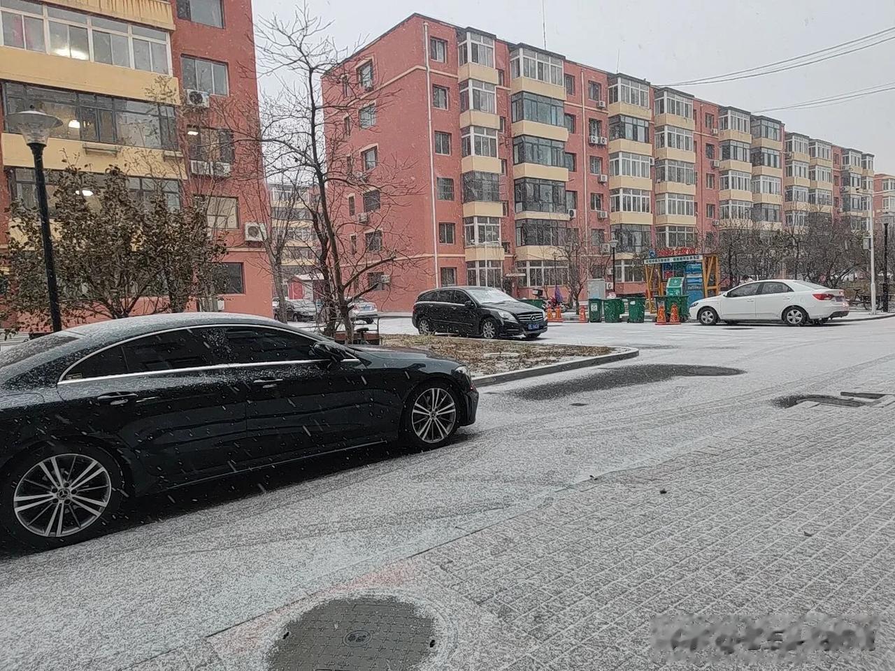 #冬日生活打卡季#盘锦冬天下雪了，都说下雪杀毒，但愿能好好杀杀毒，现在学校孩子中