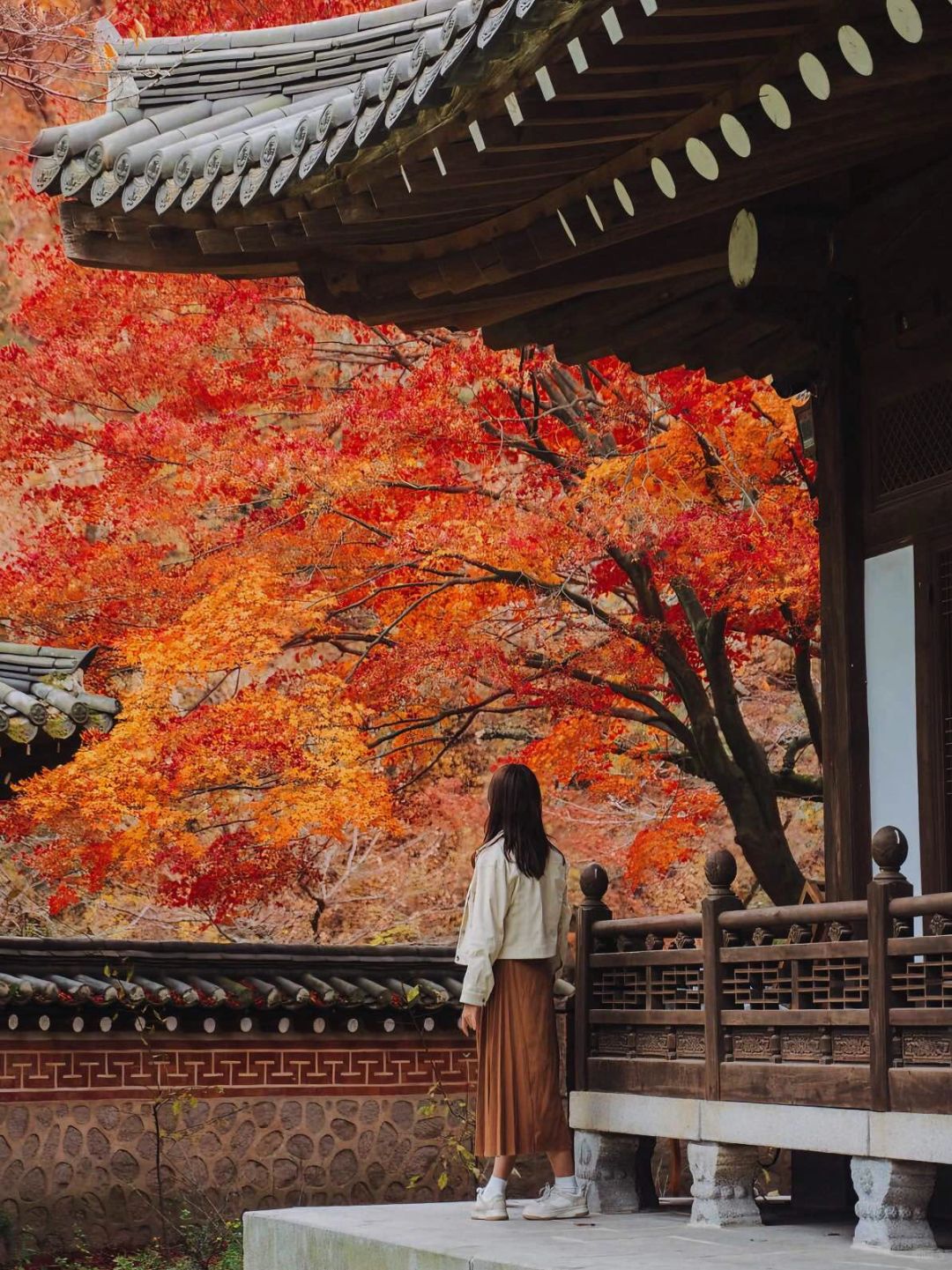 韩国旅行🍁枫叶季！三家绝美赏秋咖啡&餐厅！