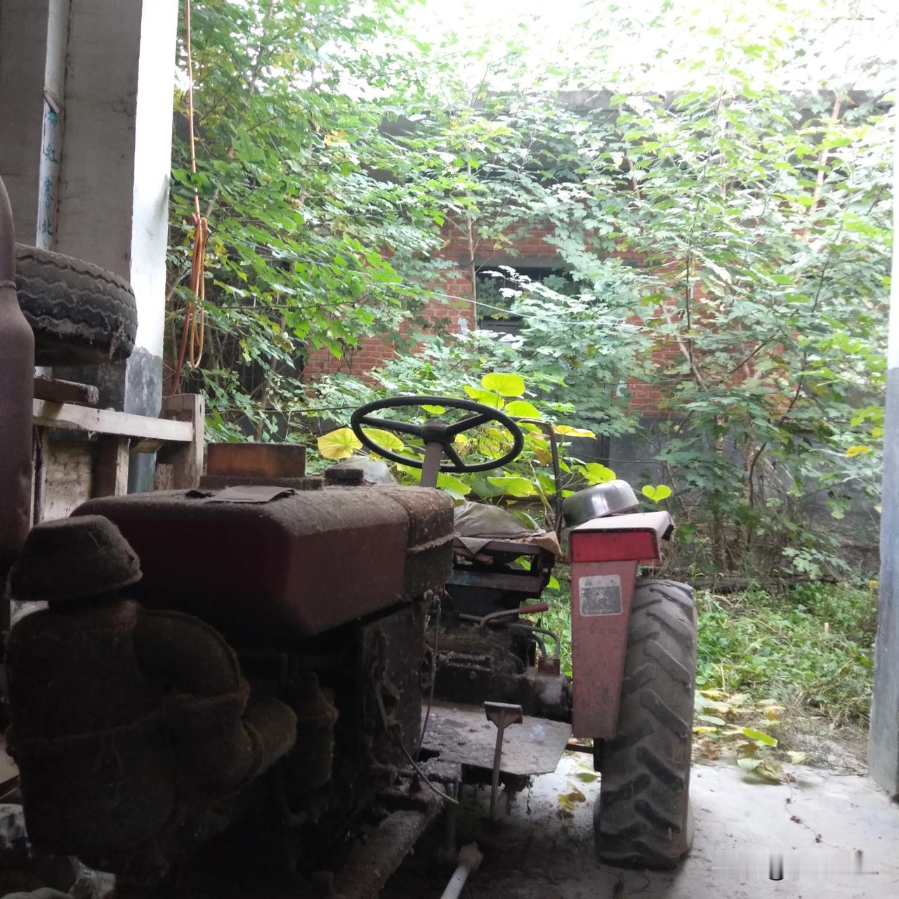 都说粮食涨价了，这个一点不假，这边玉米一斤涨了一毛多，小麦涨了几分钱。为啥既然涨