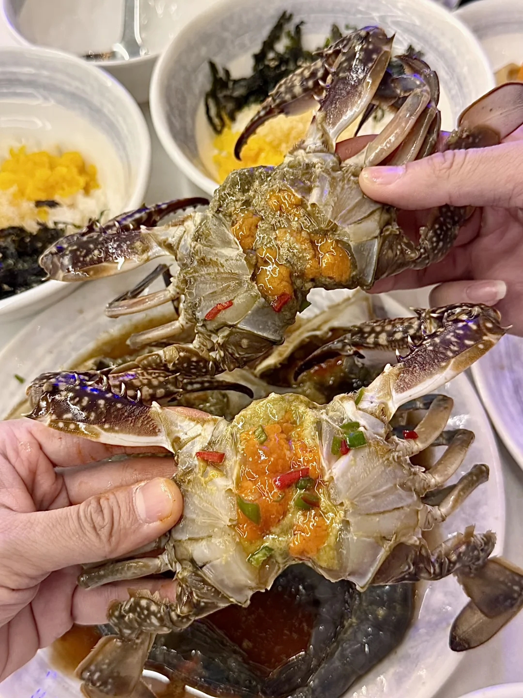 🦀救命…济州岛这家冠军酱蟹我吃了三碗饭！！