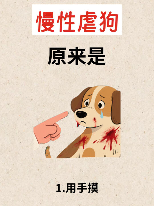 新手铲屎官必看防坑指南！