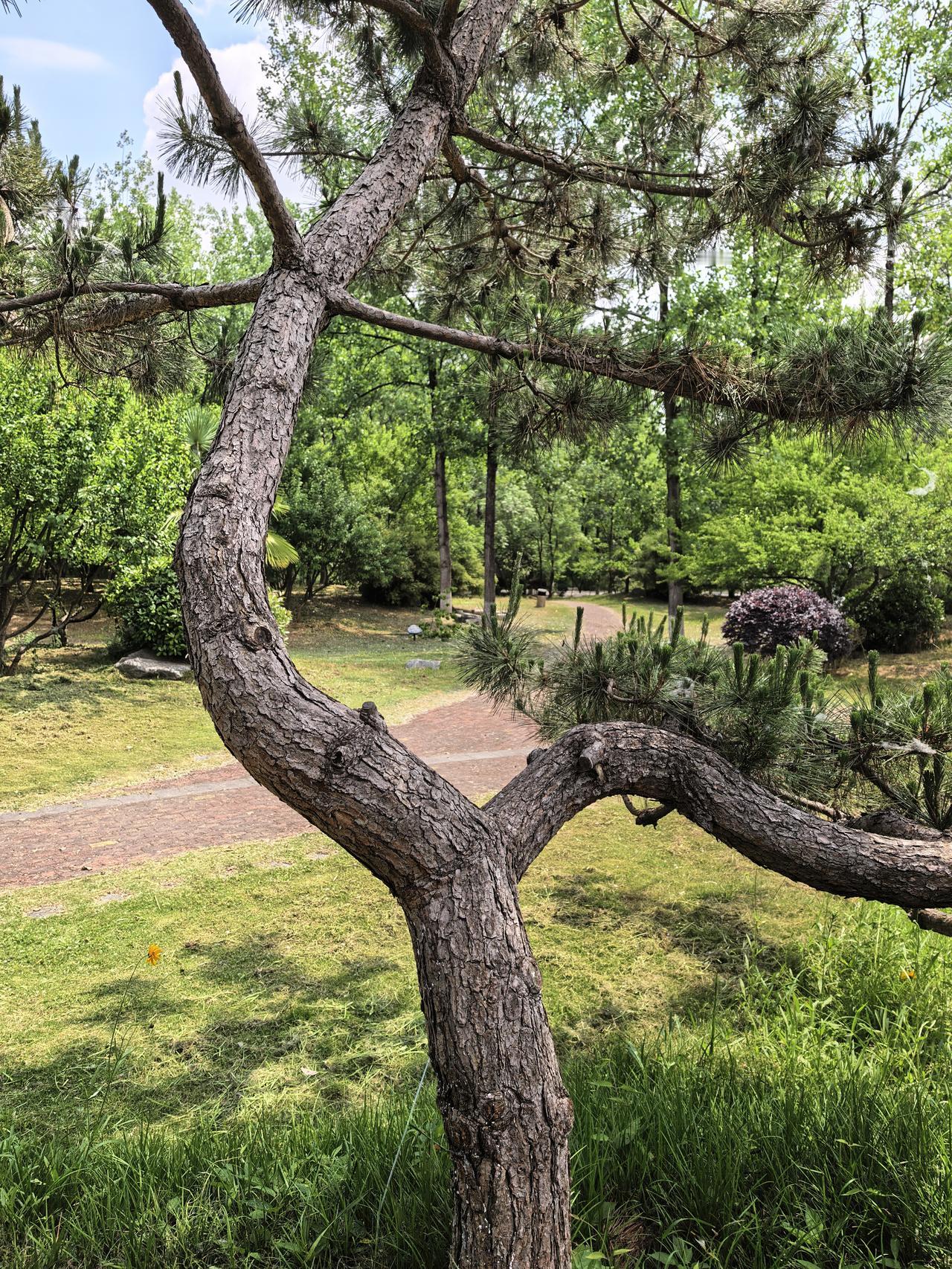 圣人成仙以后，渐渐明白了应该如何与人交往相处。长期以来，圣人一直都不知道如何正确