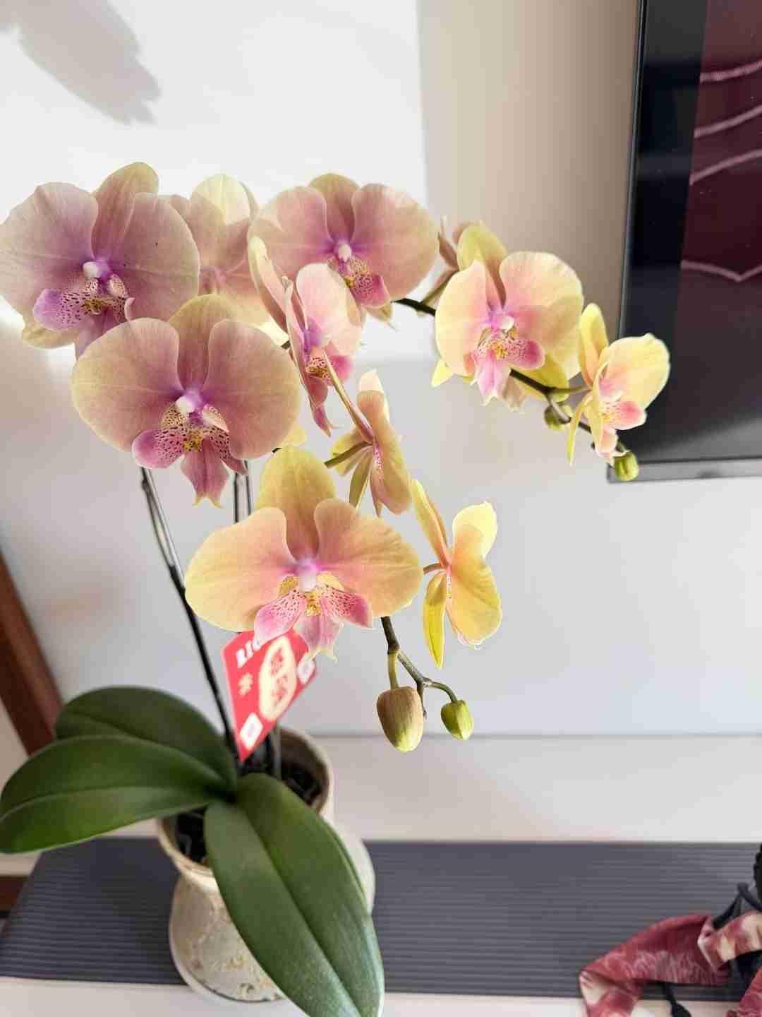 我的今日状态：😁轻松愉快
我这里的天气：☀️晴天