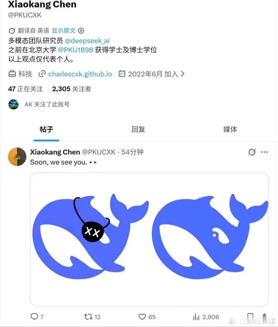 DeepSeek多模态值得期待吗值得期待，但别急着替代现有工具。从官方预告和陈小