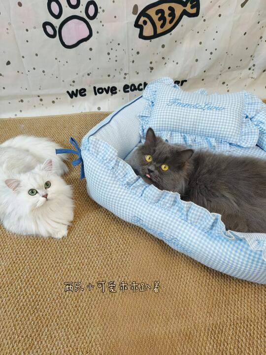 软fufu蓝精灵猫窝  猫猫抢着睡