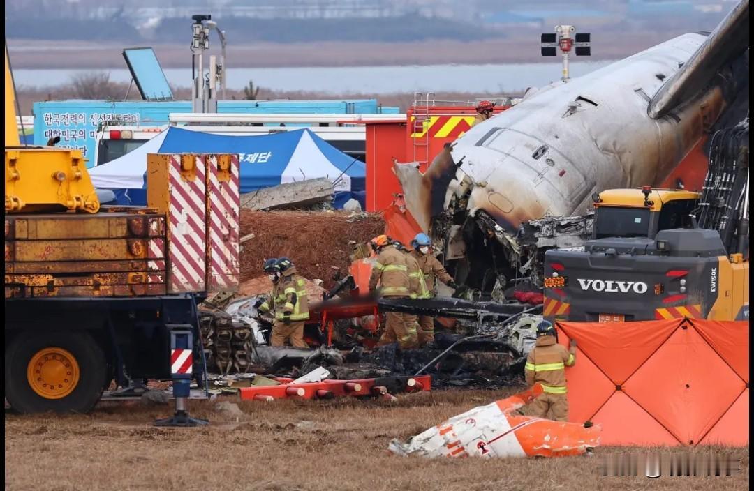 2024年12月29日，韩国济州航空2216号航班在降落前遭遇鸟击导致失控，飞机