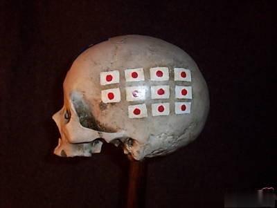 二战美海军陆战队在太平洋战场的纪念品，
看样子红骷髅里的金牙都被拔光了，
这是用