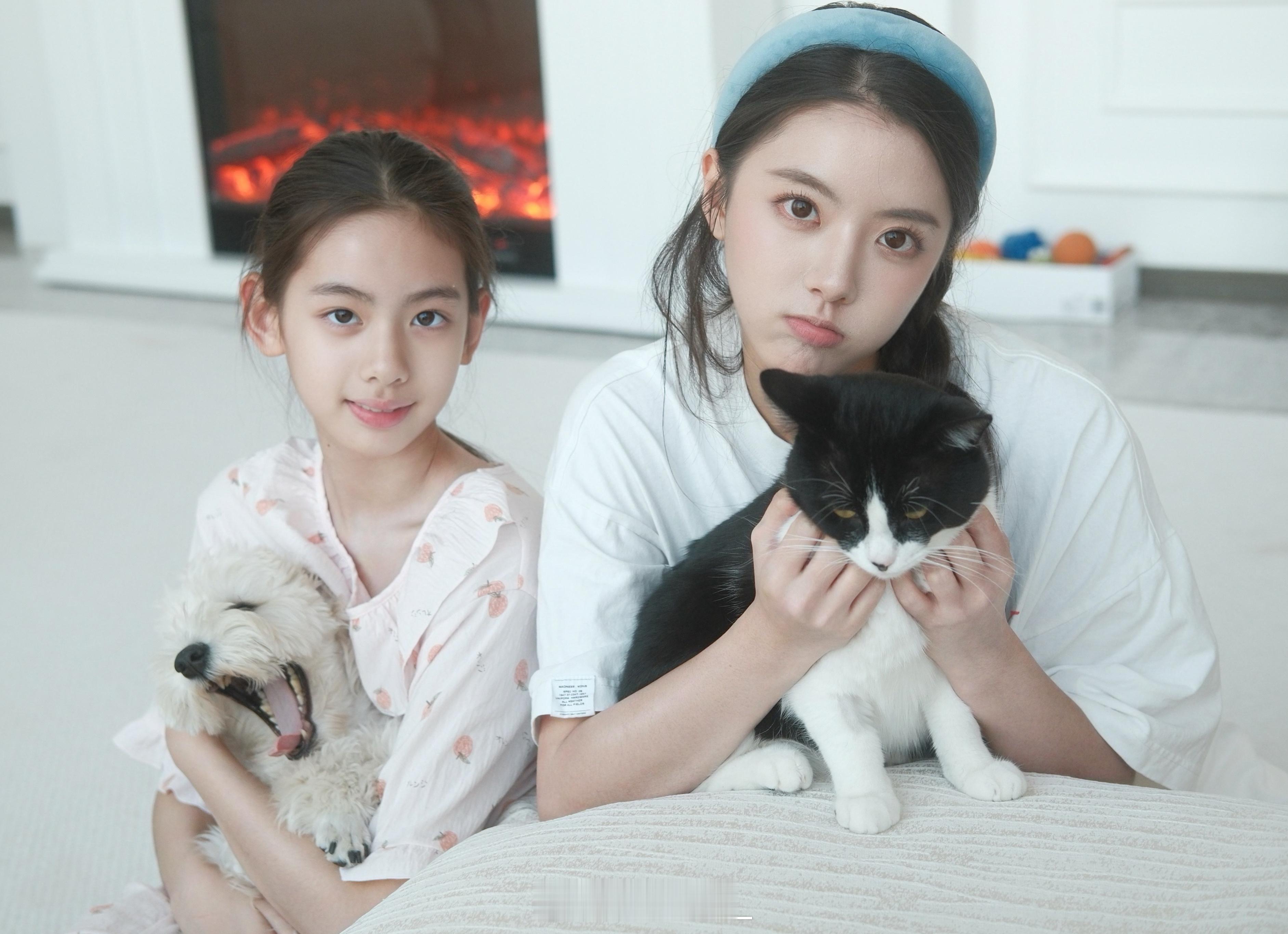 数数看有几个萌物🐱🐶 