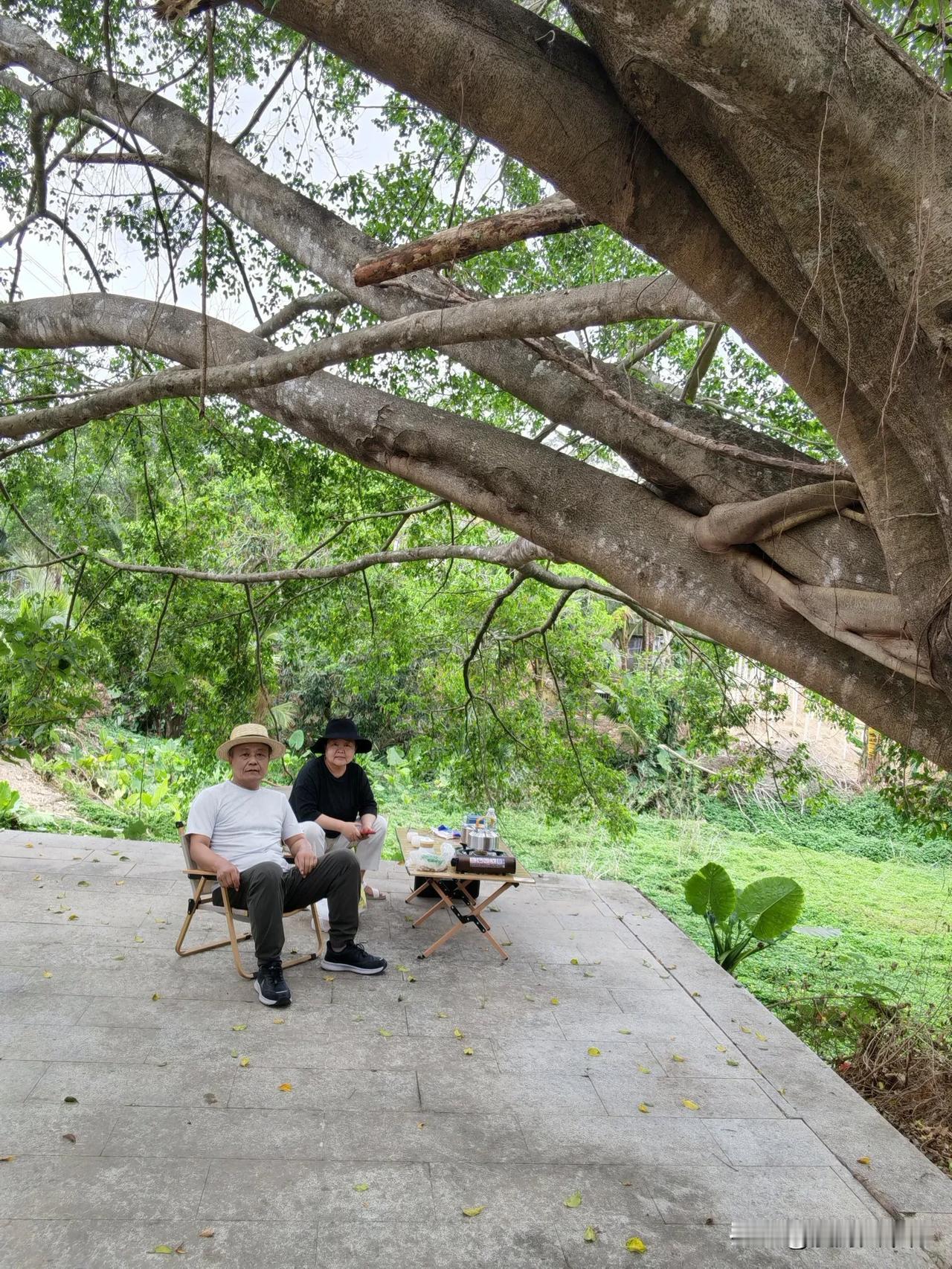 海南…自驾游第26天，进山煮茶
离开陵水酒店，边走边玩，开车近两个小时来到陵水吊