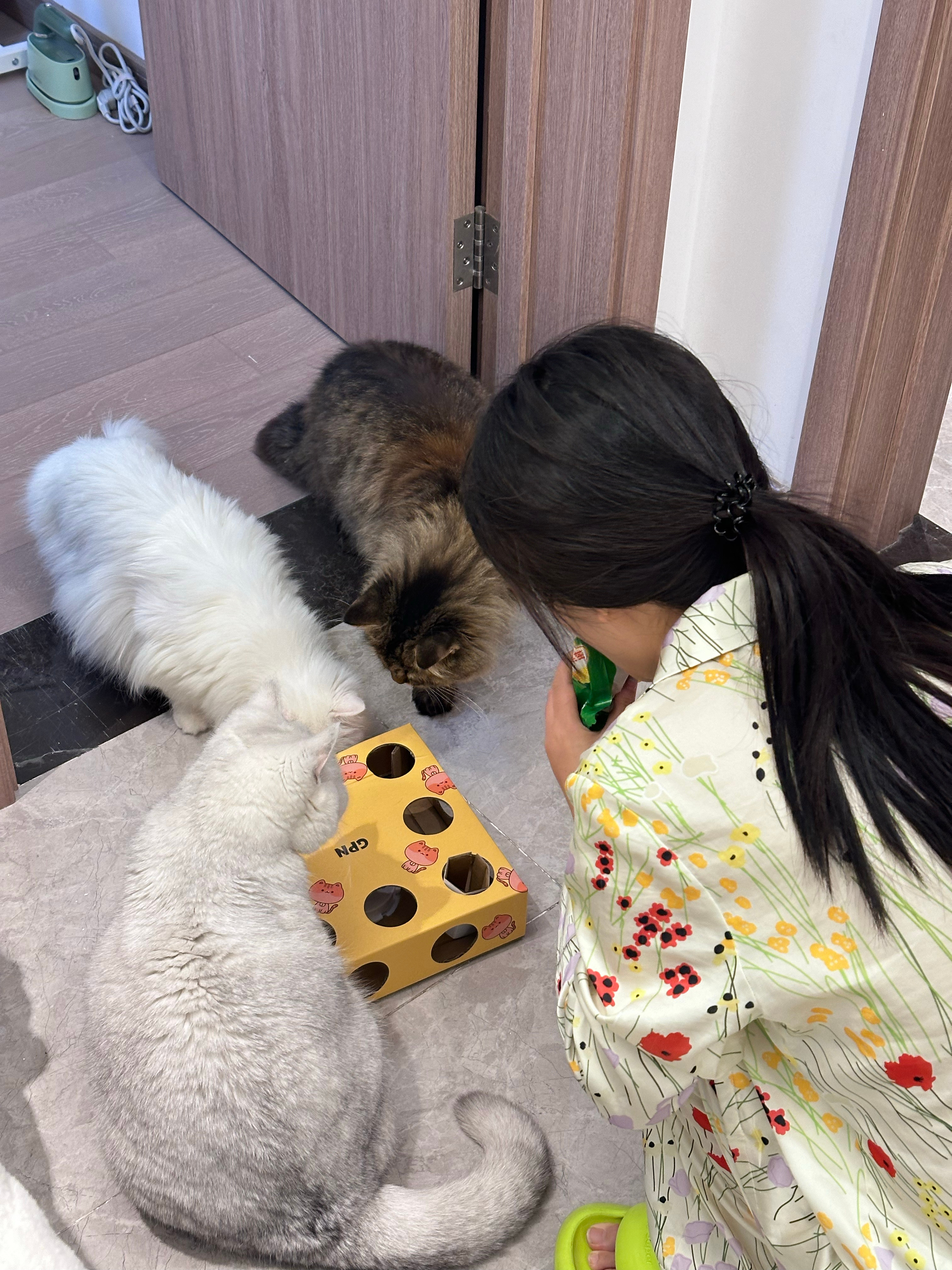 我和我的猫 ​​​